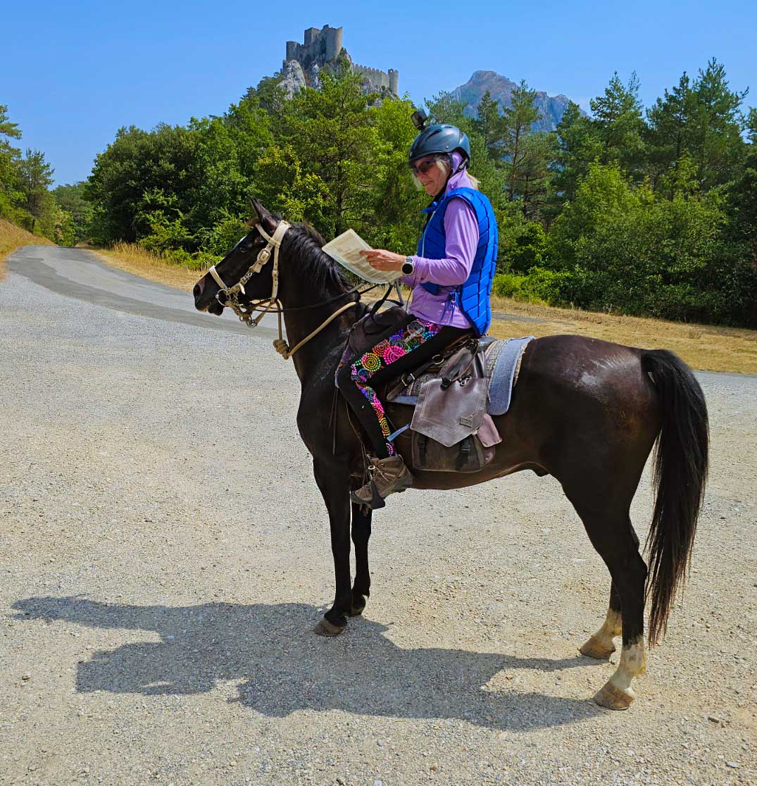 puylaurens-cheval